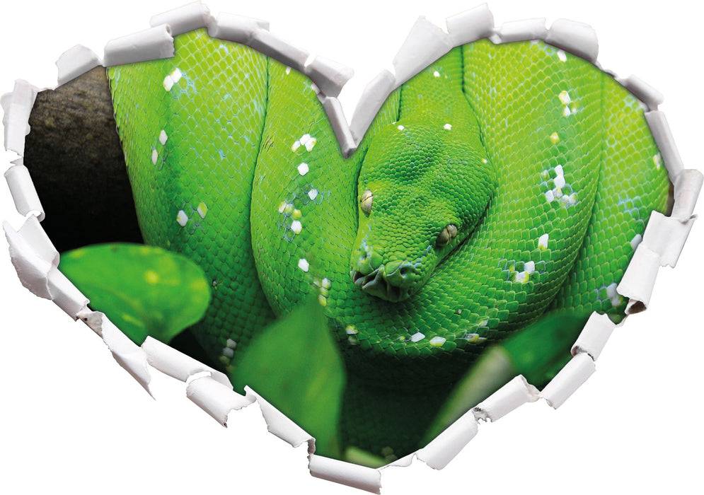 Pixxprint Grüne elegante Schlange, 3D Wandtattoo Outlet