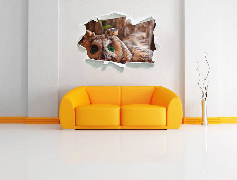 Pixxprint Wachsame Eule, 3D Wandtattoo Verkauf