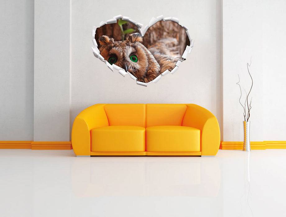 Pixxprint Wachsame Eule, 3D Wandtattoo Verkauf