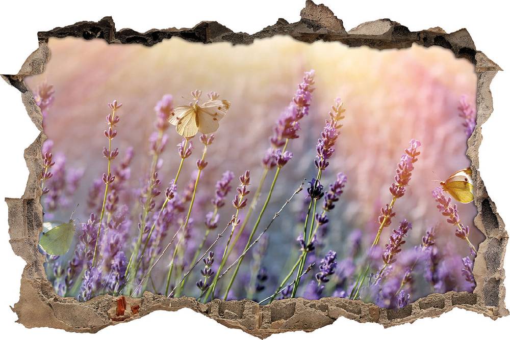 Pixxprint Schmetterlinge auf Lavendelblumen, 3D Wandtattoo