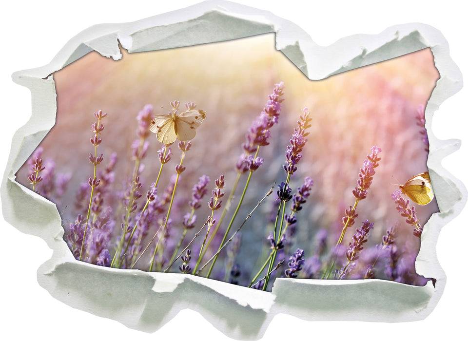 Pixxprint Schmetterlinge auf Lavendelblumen, 3D Wandtattoo Hotsell