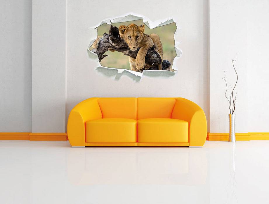 Pixxprint Junger Löwe in der Natur, 3D Wandtattoo im Angebot
