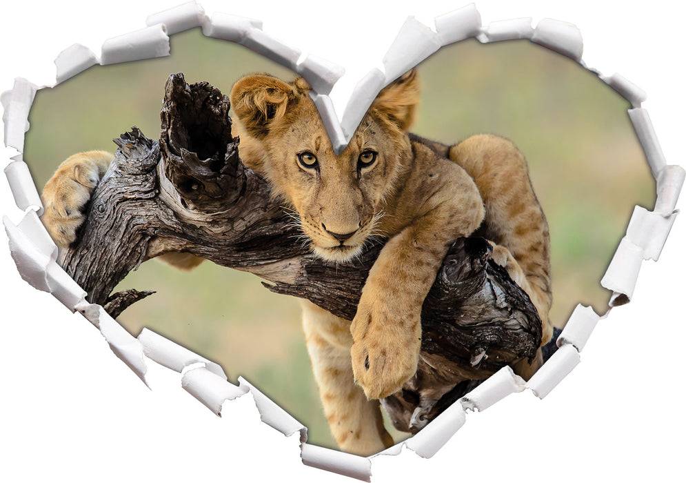 Pixxprint Junger Löwe in der Natur, 3D Wandtattoo im Angebot