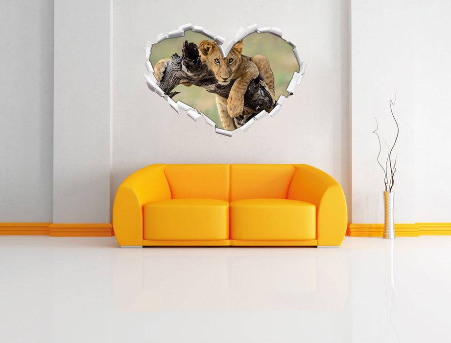 Pixxprint Junger Löwe in der Natur, 3D Wandtattoo im Angebot