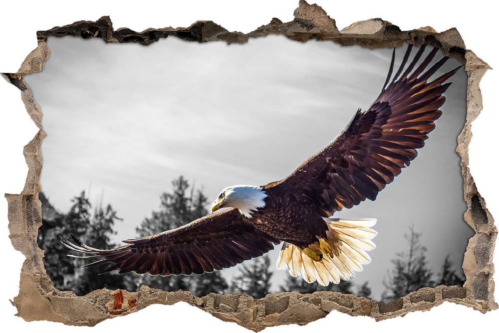 Pixxprint großer fliegender Adler, 3D Wandtattoo