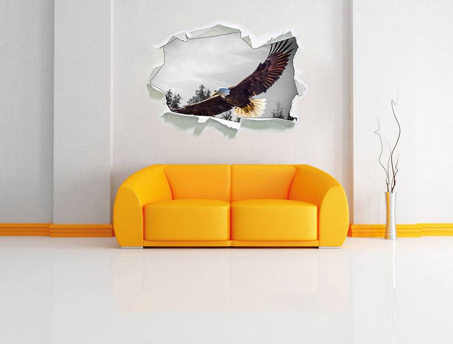 Pixxprint großer fliegender Adler, 3D Wandtattoo Meist gekauft