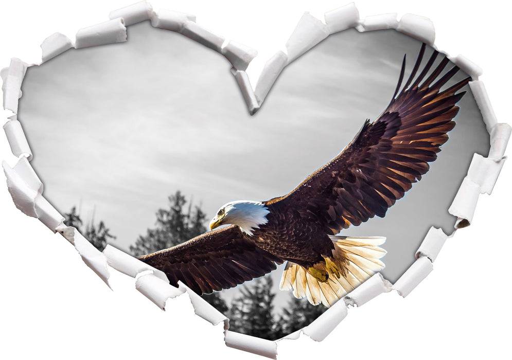 Pixxprint großer fliegender Adler, 3D Wandtattoo Meist gekauft