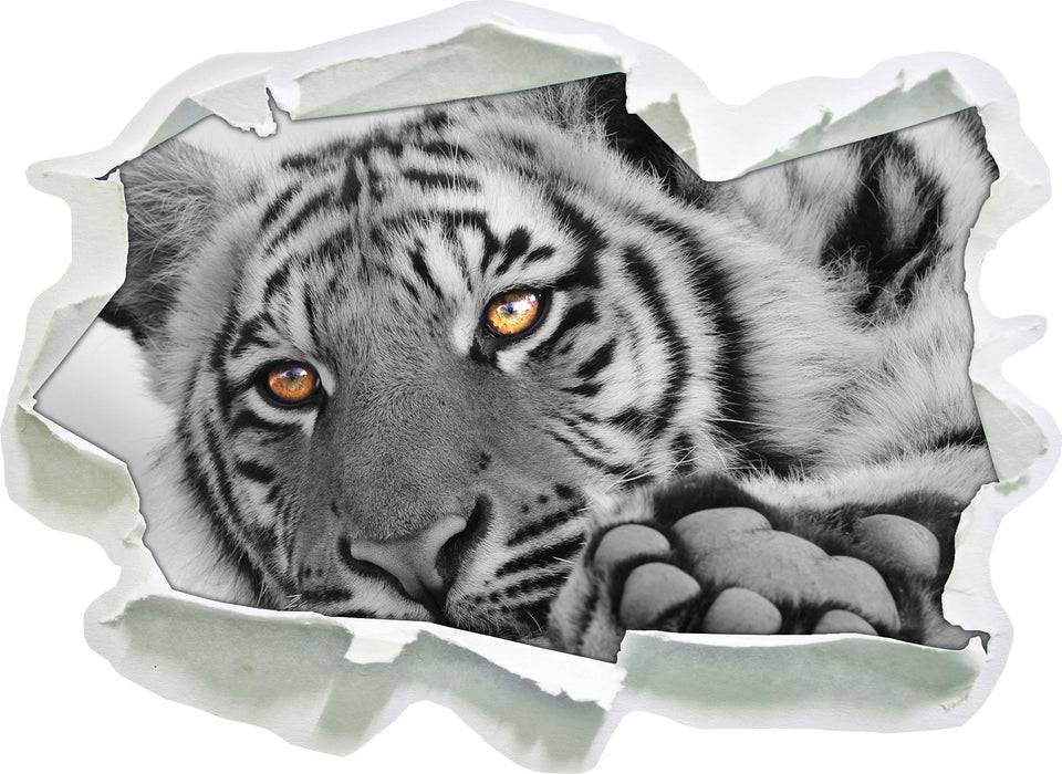 Pixxprint entspannter Tiger, 3D Wandtattoo Kostenloser Versand