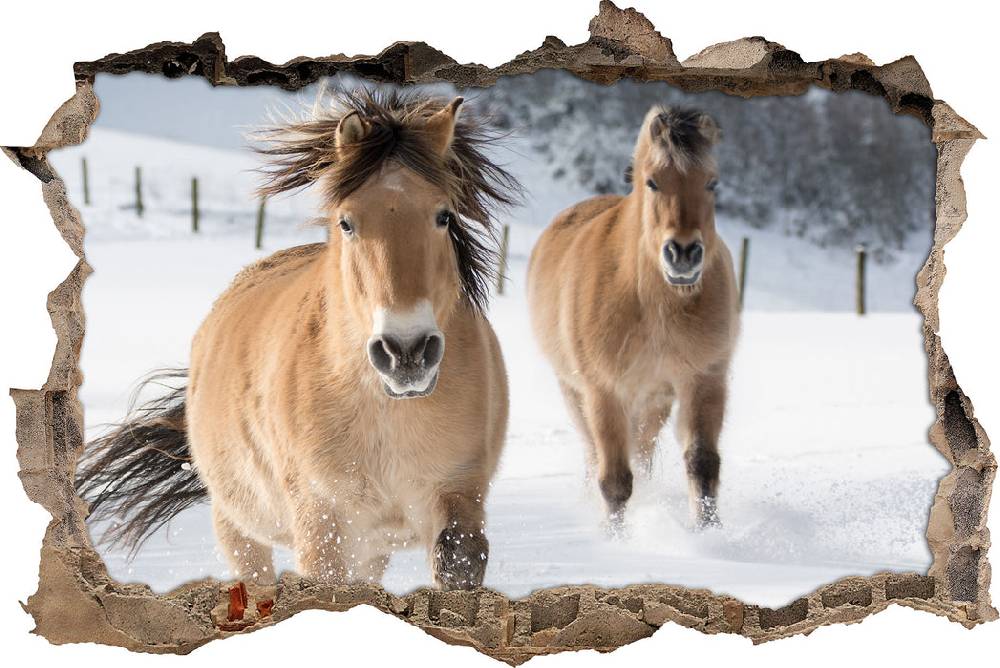 Pixxprint Pferd im Schnee, 3D Wandtattoo Fabrikpreis