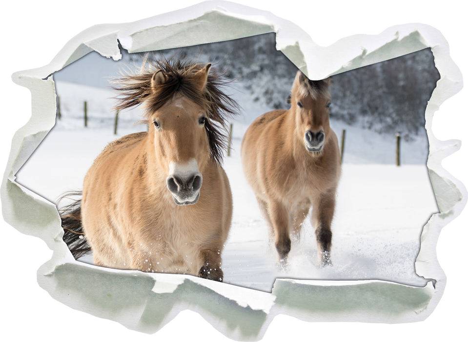 Pixxprint Pferd im Schnee, 3D Wandtattoo Fabrikpreis