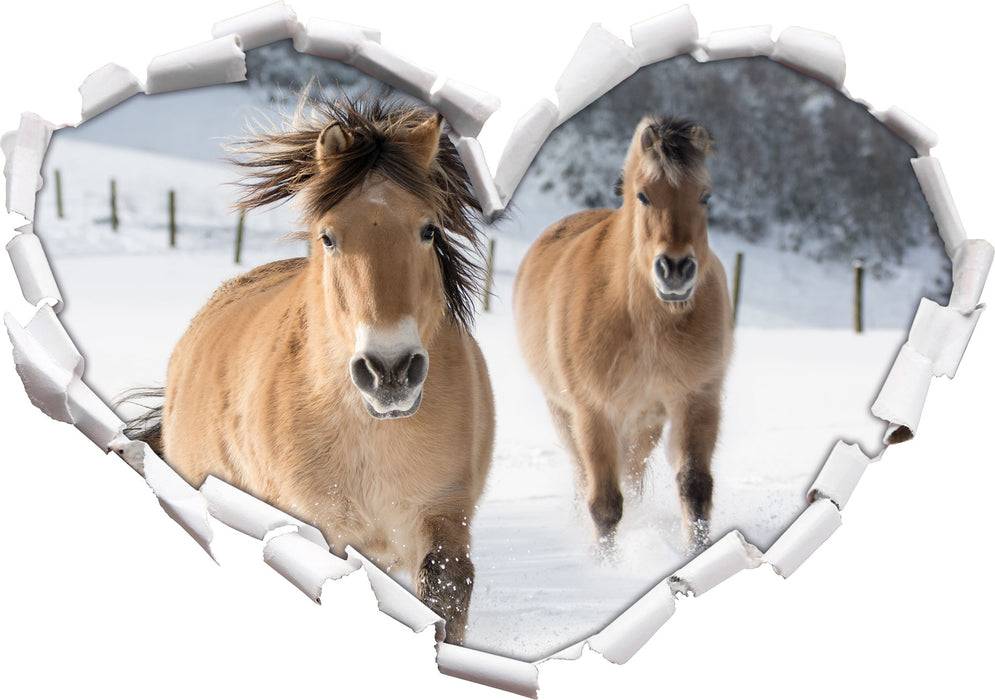 Pixxprint Pferd im Schnee, 3D Wandtattoo Fabrikpreis