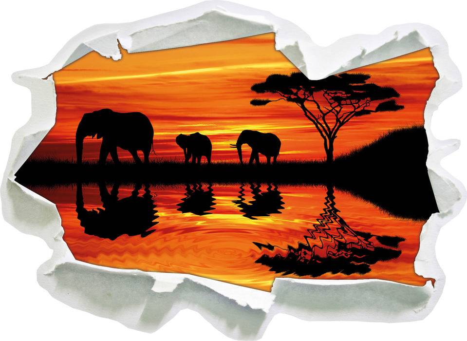Pixxprint Afrika Elefant in Sonnenschein, 3D Wandtattoo Günstig kaufen