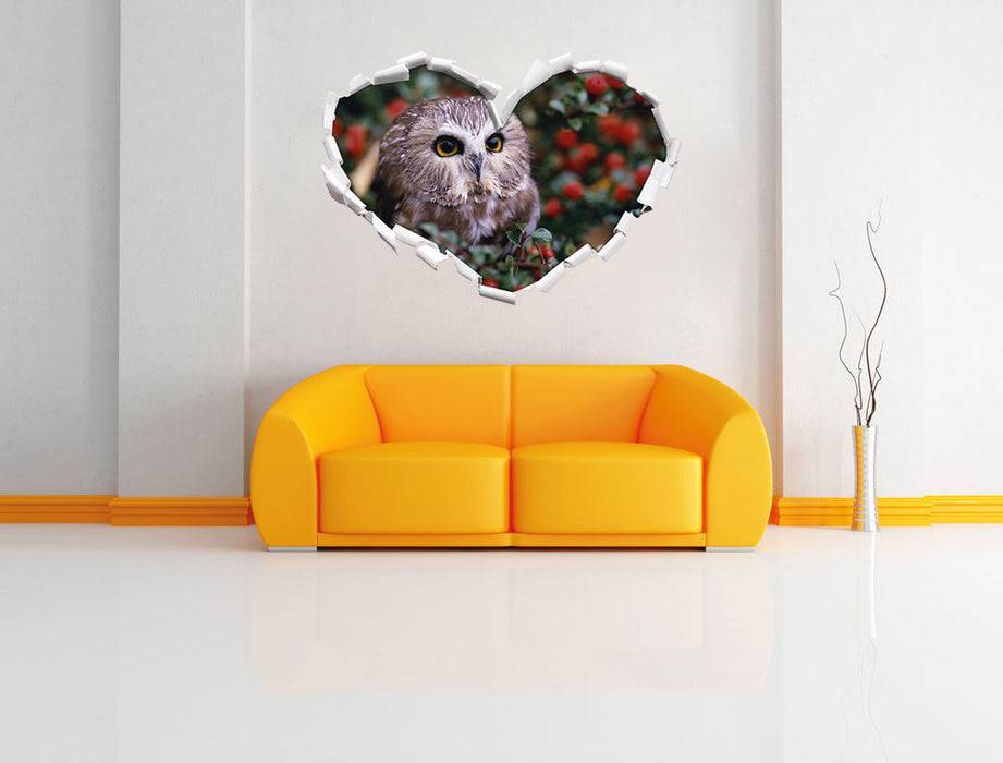 Pixxprint Eule im Vogelbeerenstrauch, 3D Wandtattoo Großer Ausverkauf