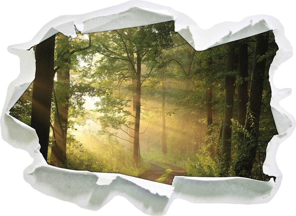 Pixxprint Waldweg, 3D Wandtattoo Begrenztes Angebot