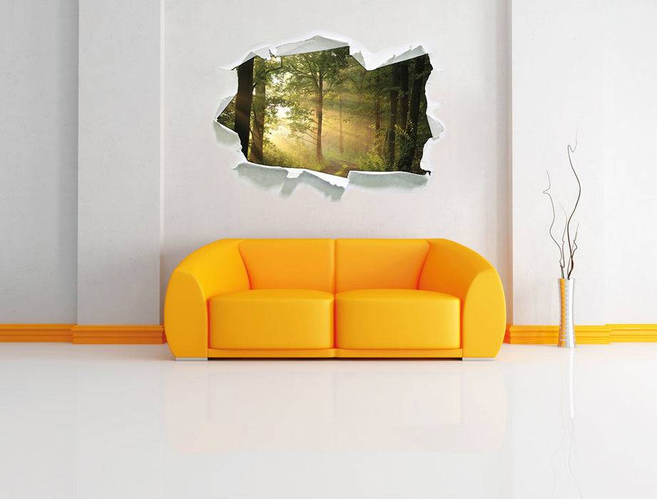 Pixxprint Waldweg, 3D Wandtattoo Begrenztes Angebot
