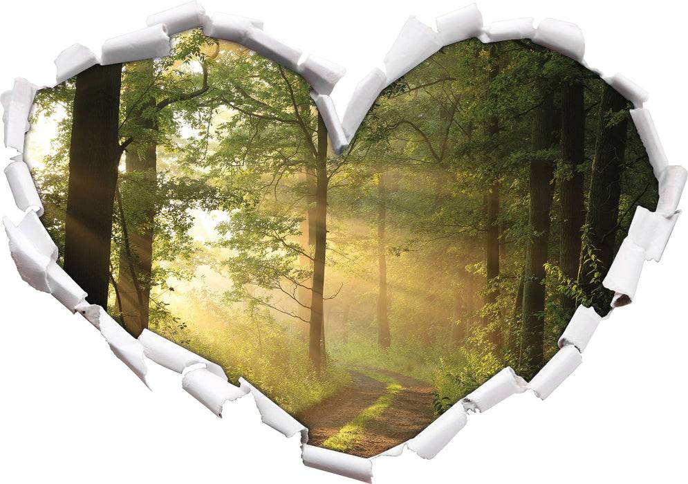 Pixxprint Waldweg, 3D Wandtattoo Begrenztes Angebot