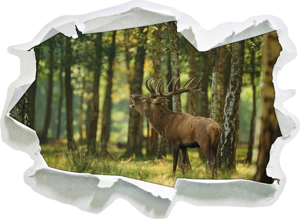 Pixxprint Hirsch im Wald, 3D Wandtattoo Online Shopping