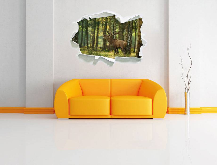 Pixxprint Hirsch im Wald, 3D Wandtattoo Online Shopping