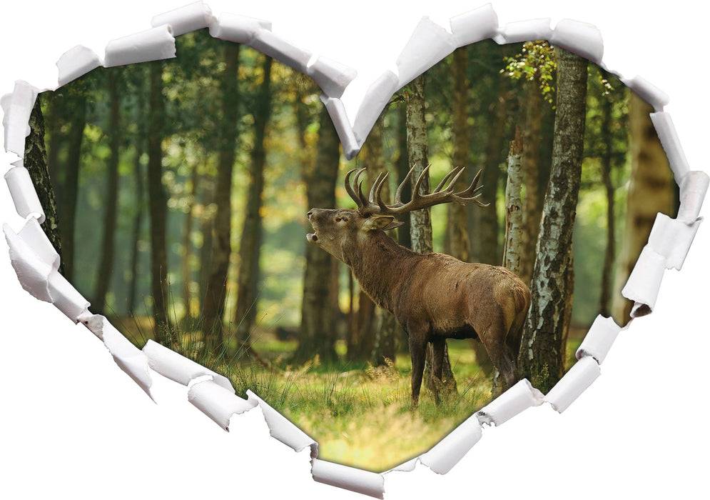 Pixxprint Hirsch im Wald, 3D Wandtattoo Online Shopping