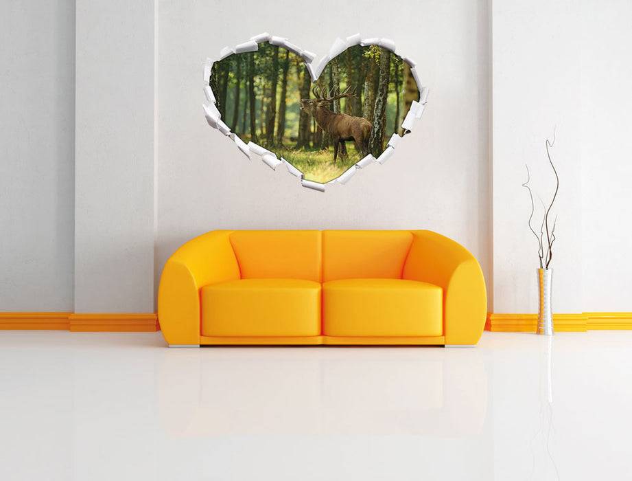 Pixxprint Hirsch im Wald, 3D Wandtattoo Online Shopping