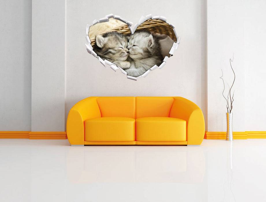 Pixxprint Baby Katze, 3D Wandtattoo Exklusivangebot