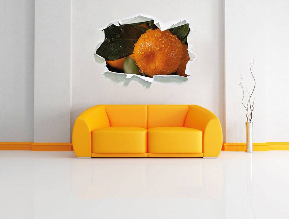 Pixxprint Saftige frische Orange, 3D Wandtattoo Neueste Mode