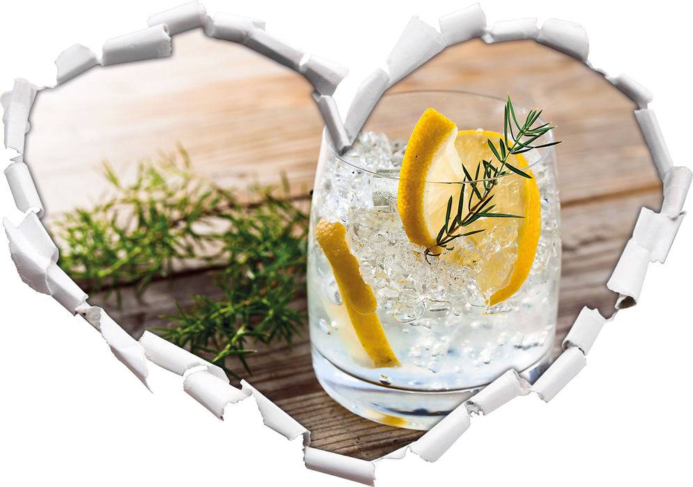 Pixxprint Leckerer Gin Tonic, 3D Wandtattoo Sonderangebote