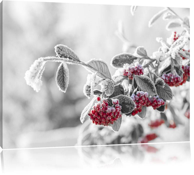 Pixxprint Vogelbeeren im frostigen Winter, Leinwandbild Letzte 3 Tage