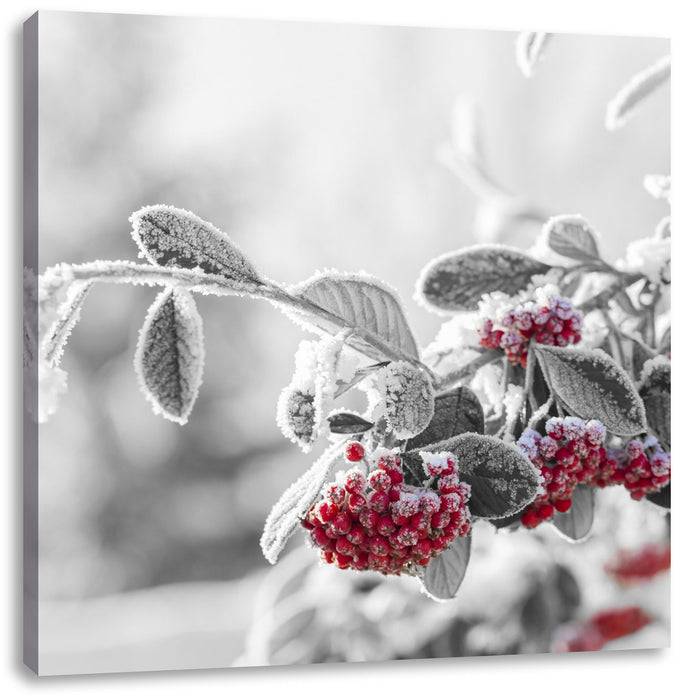 Pixxprint Vogelbeeren im frostigen Winter, Leinwandbild Letzte 3 Tage