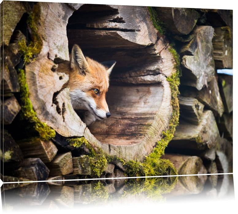 Pixxprint Fuchs im Baumstamm, Leinwandbild JETZT KAUFEN