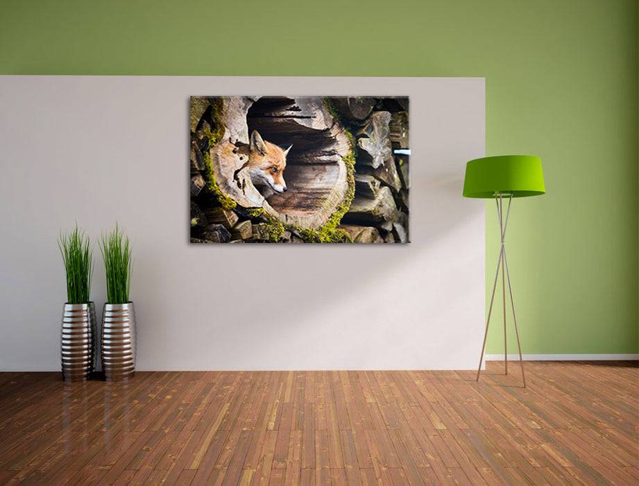 Pixxprint Fuchs im Baumstamm, Leinwandbild JETZT KAUFEN