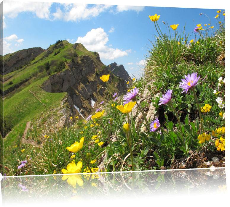 Pixxprint Blumenwiese im Frühling, Leinwandbild Vierteljährliche Förderung