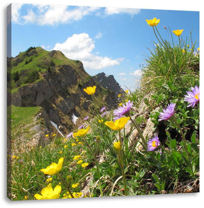 Pixxprint Blumenwiese im Frühling, Leinwandbild Vierteljährliche Förderung