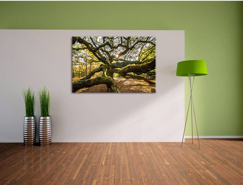 Pixxprint gigantisch verzweigter Baum, Leinwandbild Super Rabatt