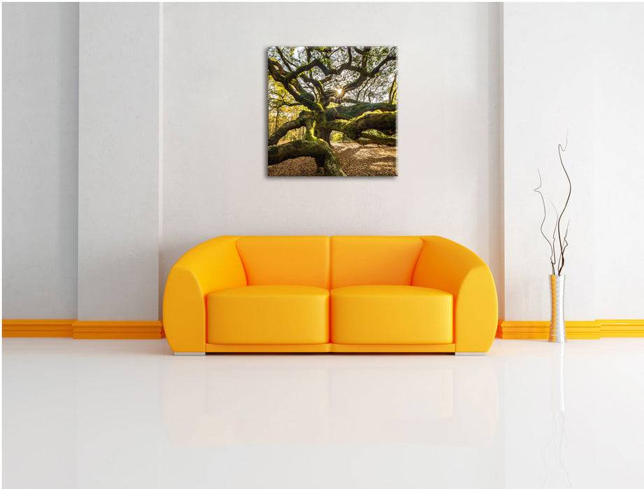 Pixxprint gigantisch verzweigter Baum, Leinwandbild Super Rabatt