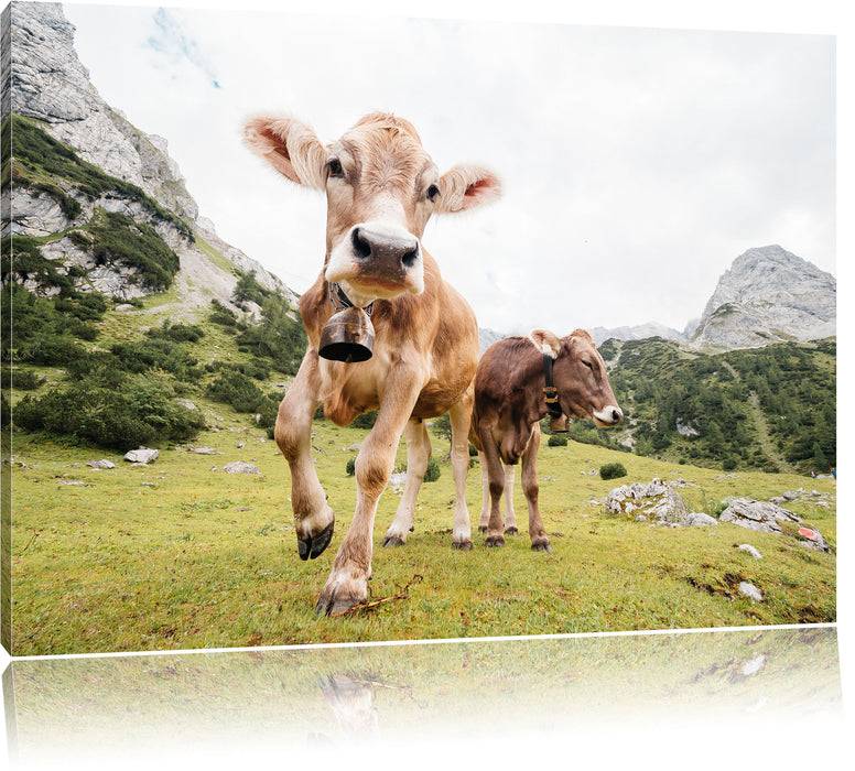 Pixxprint Almkuh auf der Weide, Leinwandbild