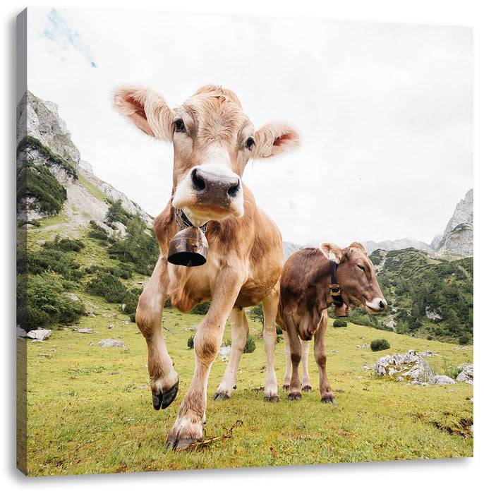 Pixxprint Almkuh auf der Weide, Leinwandbild 50% Rabatt mit kostenlosem Versand