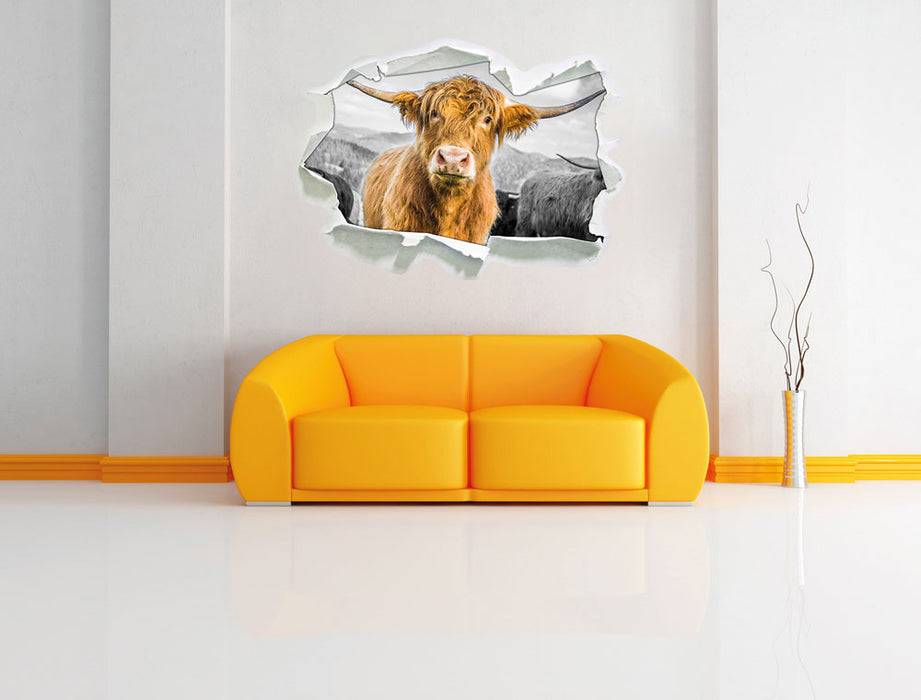 Pixxprint Blick einer Kuh an der Weide B&W, 3D Wandtattoo Clearance-Verkauf