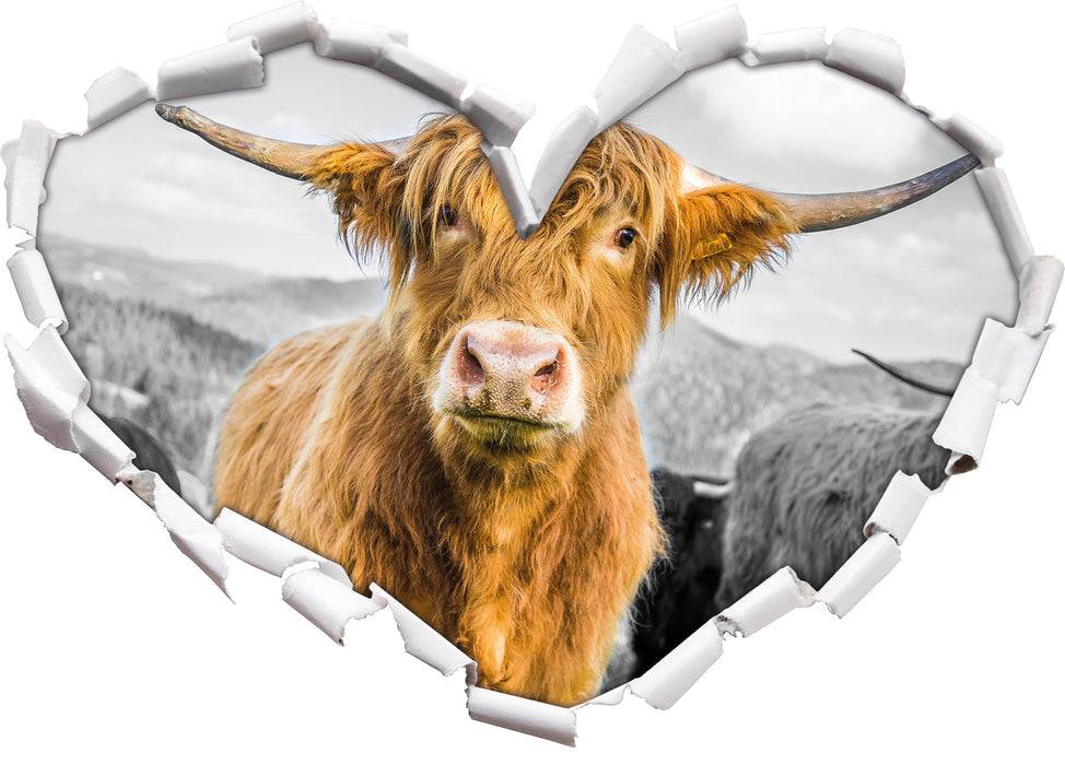 Pixxprint Blick einer Kuh an der Weide B&W, 3D Wandtattoo Clearance-Verkauf