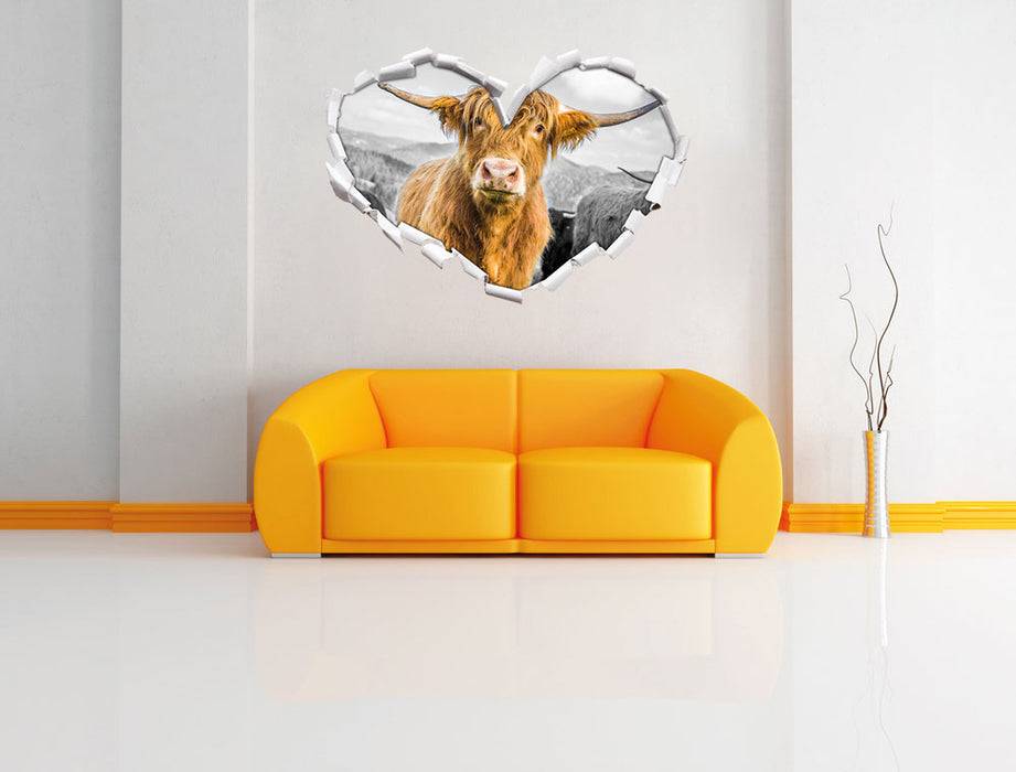 Pixxprint Blick einer Kuh an der Weide B&W, 3D Wandtattoo Clearance-Verkauf