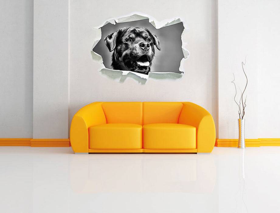 Pixxprint Treuer Rottweiler, 3D Wandtattoo Begrenzt auf 3 Tage