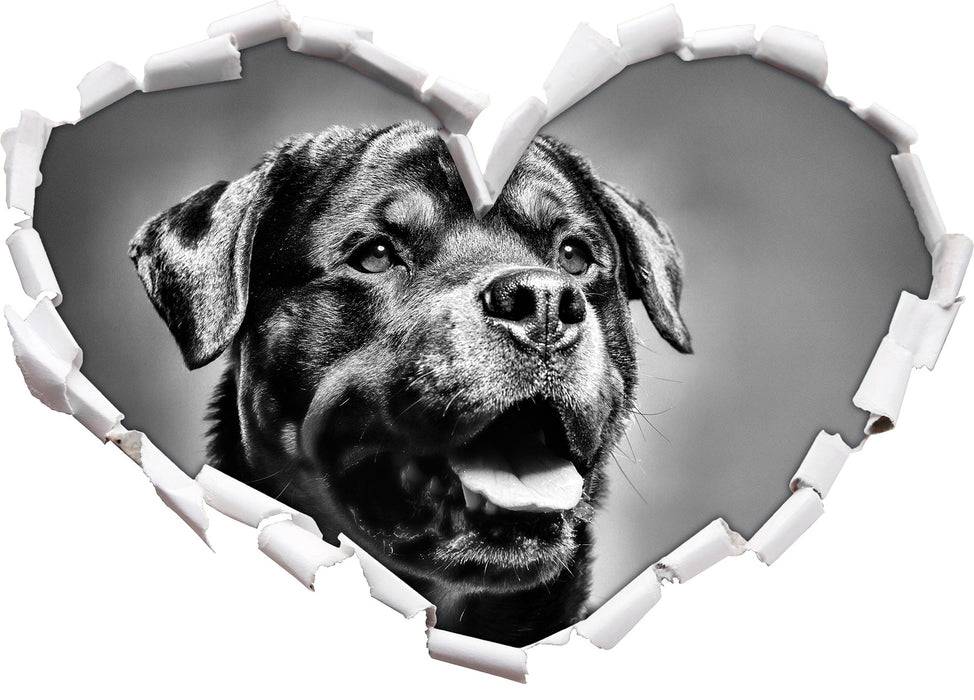 Pixxprint Treuer Rottweiler, 3D Wandtattoo Begrenzt auf 3 Tage