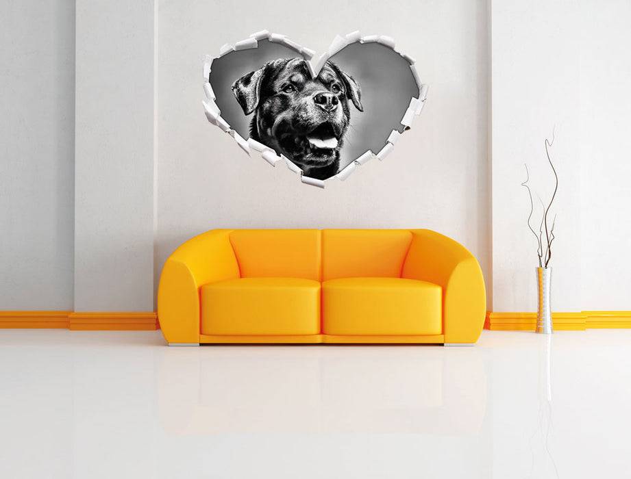 Pixxprint Treuer Rottweiler, 3D Wandtattoo Begrenzt auf 3 Tage