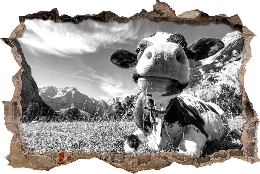 Pixxprint Kuh im Karwendelgebirge Kunst B&W, 3D Wandtattoo