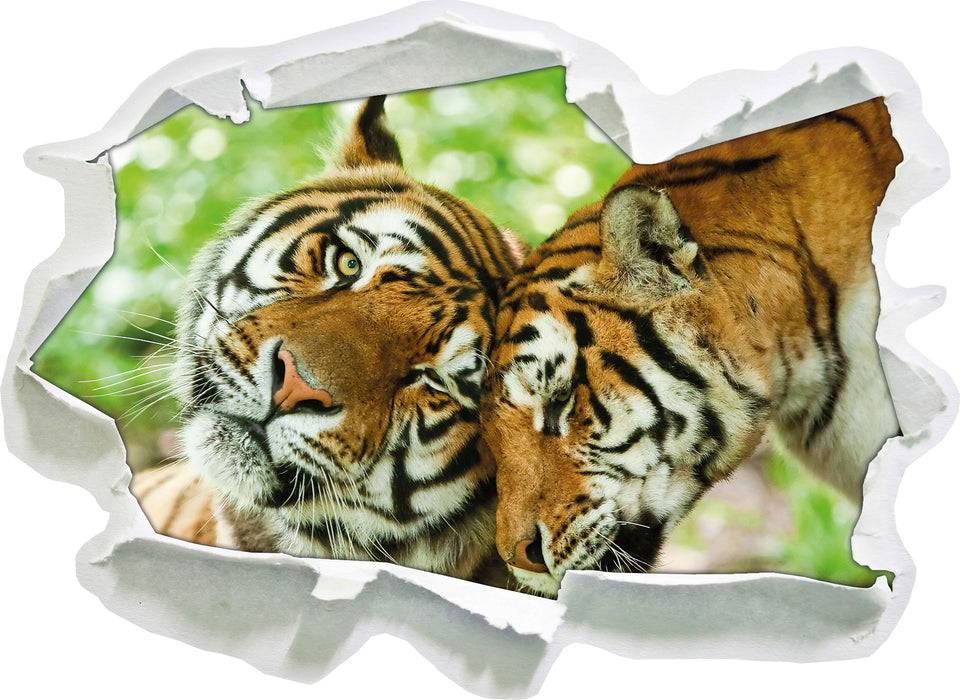 Pixxprint Zwei liebkosende Tiger, 3D Wandtattoo Hotsell