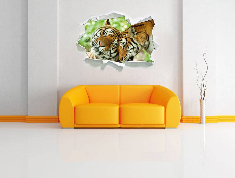 Pixxprint Zwei liebkosende Tiger, 3D Wandtattoo Hotsell