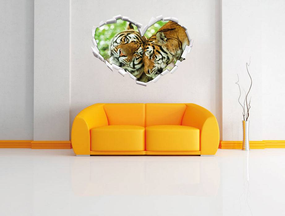 Pixxprint Zwei liebkosende Tiger, 3D Wandtattoo Hotsell