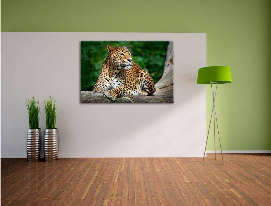 Pixxprint Wunderschöner Leopard in der Natur, Leinwandbild Neueste Mode