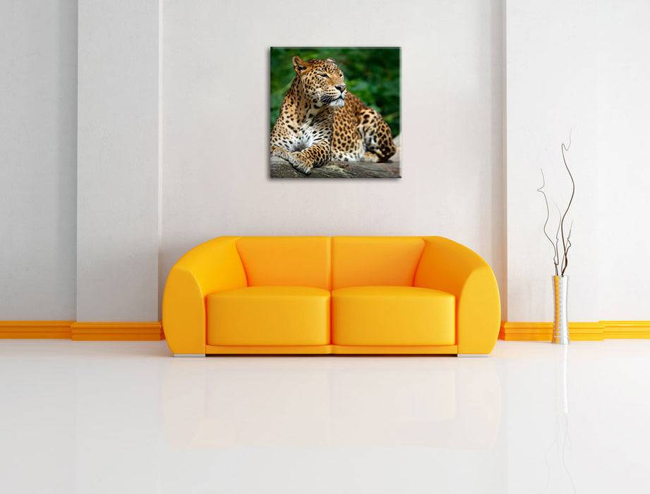 Pixxprint Wunderschöner Leopard in der Natur, Leinwandbild Neueste Mode