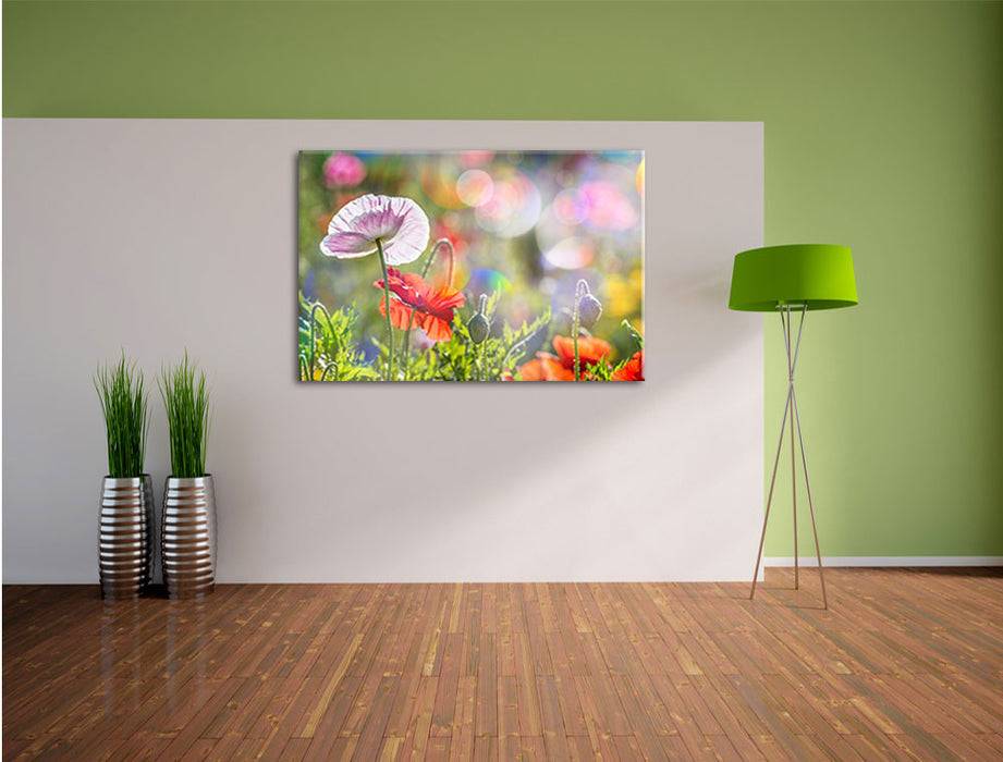 Pixxprint Kalifornischer Mohn Frühling, Leinwandbild Online Outlet
